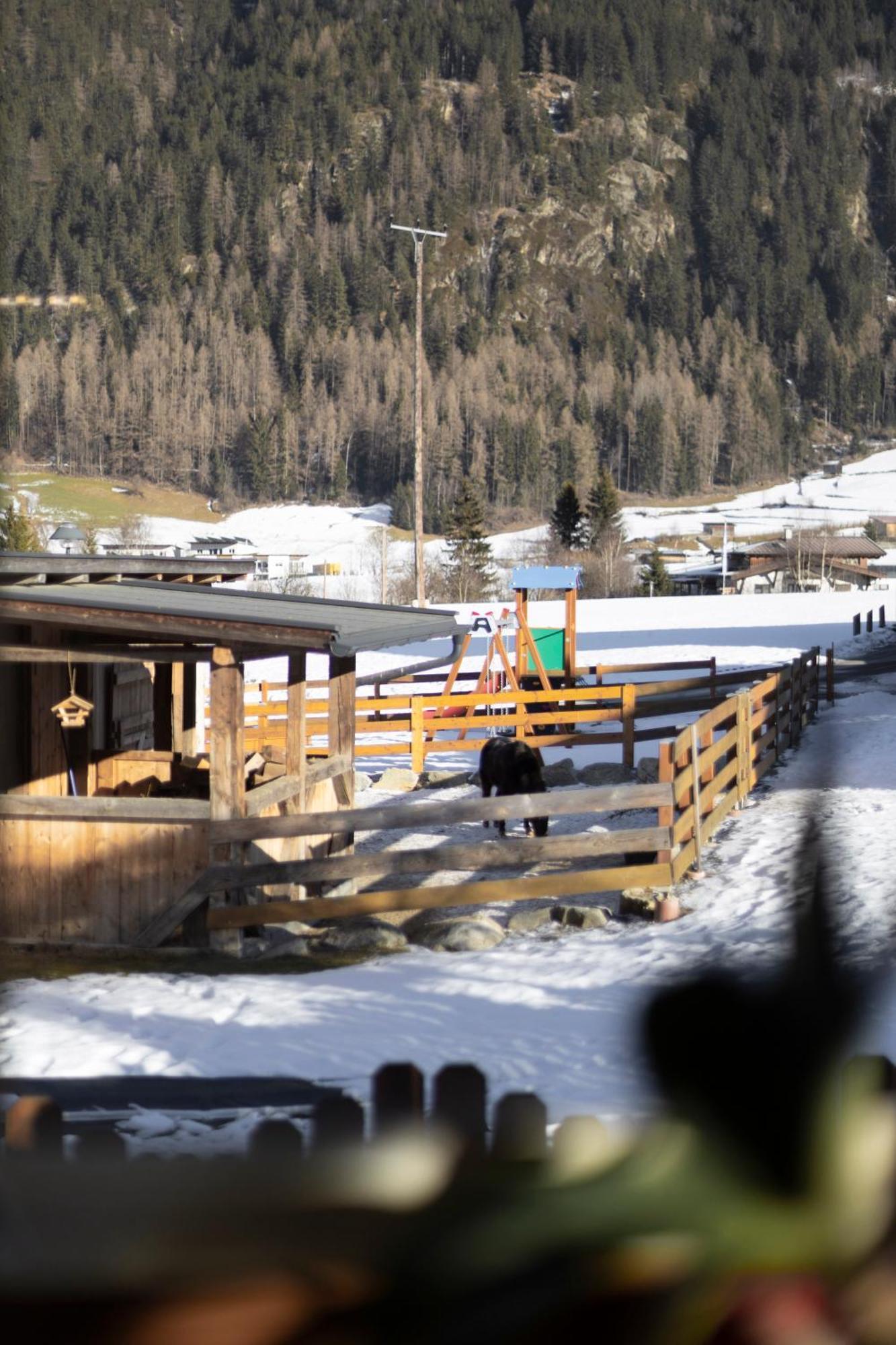Ferienhaus Tirol Im Oetztal Umhausen Exterior foto