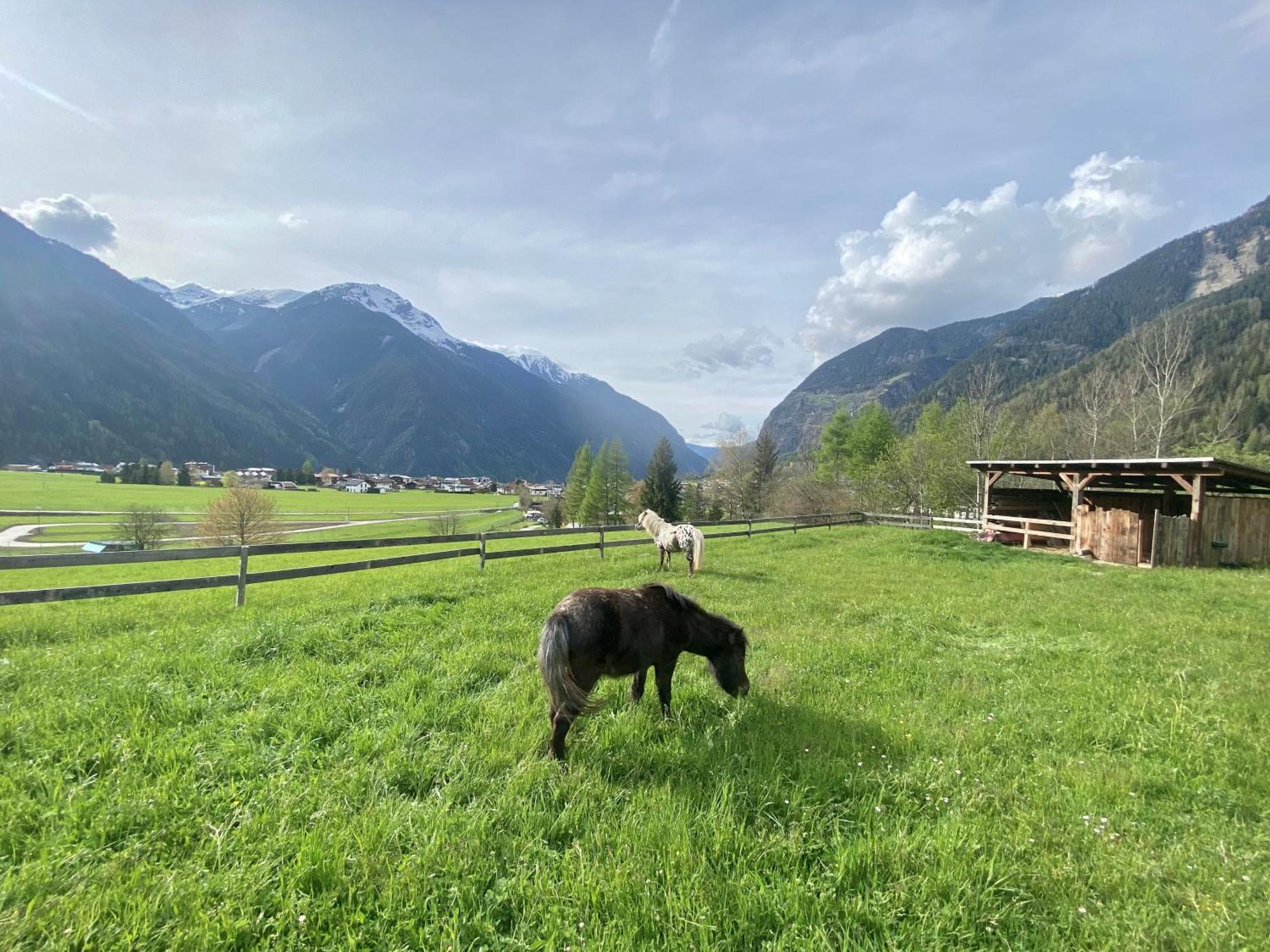 Ferienhaus Tirol Im Oetztal Umhausen Exterior foto